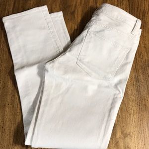 NWOTS! Talbots Size 2 Signature Ankle Pants!